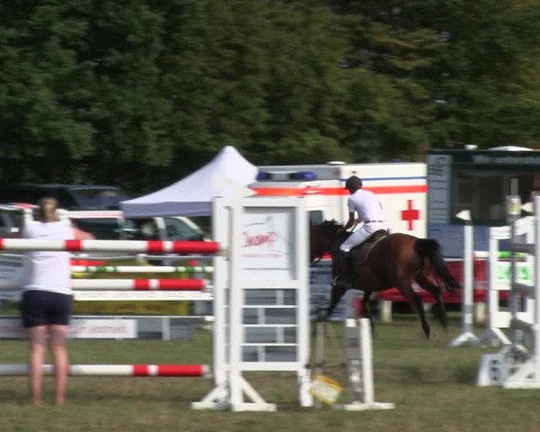Reitturnier Felmerholz 2019