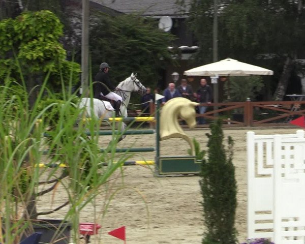 Equus Colonius - Reitanlage Brüse Köln 2021