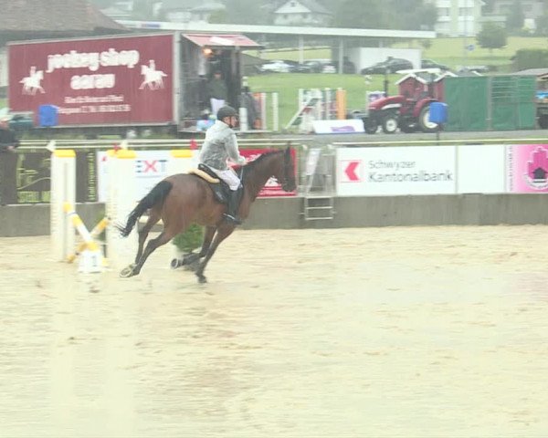 Reitturnier Schwyz 2019