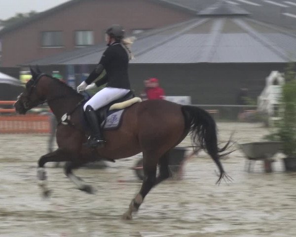 Reitturnier Neuss-Allerheiligen 2019