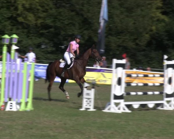 Reitturnier Felmerholz 2019