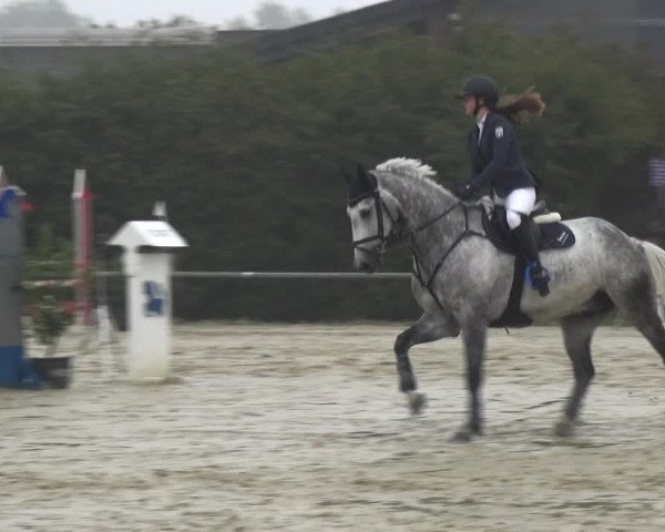 Reitturnier Neuss-Allerheiligen 2019