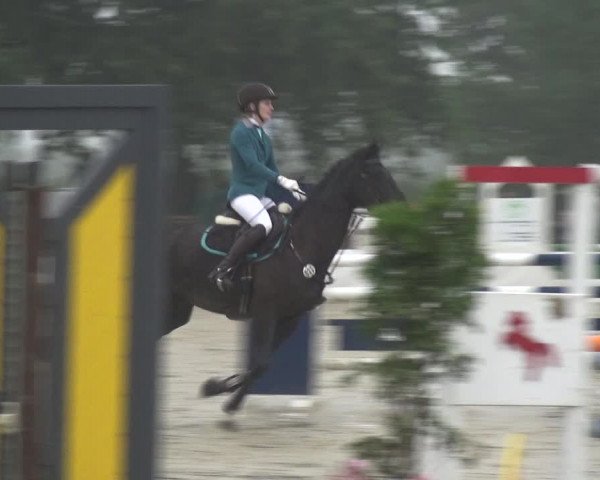 Reitturnier Neuss-Allerheiligen 2019