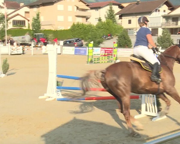 Reitturnier Schwyz 2019