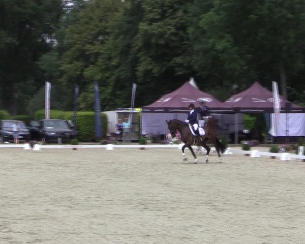 Reitturnier Münster-Handorf 2019