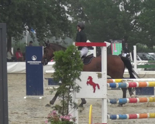 Reitturnier Neuss-Allerheiligen 2019