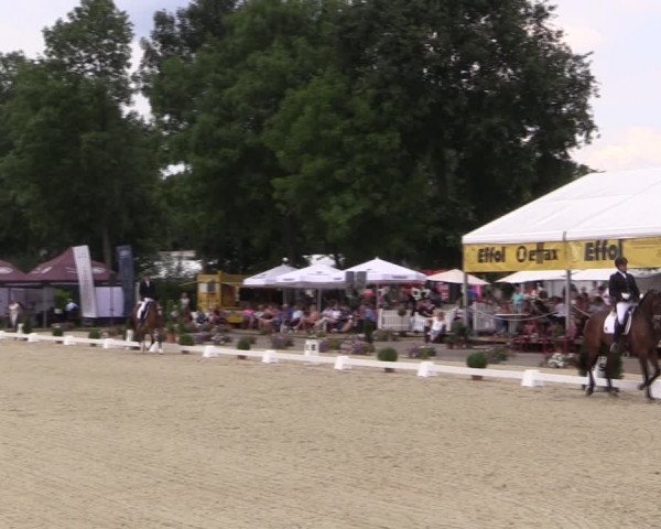 Reitturnier Münster-Handorf 2019