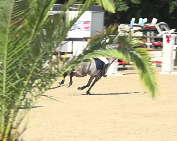 Reitturnier Bättwil 2019