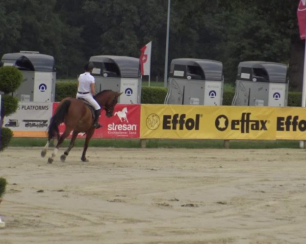 Westfalen-Woche 2019