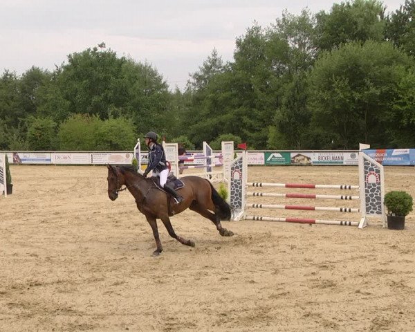 Reitturnier Püttlingen 2019