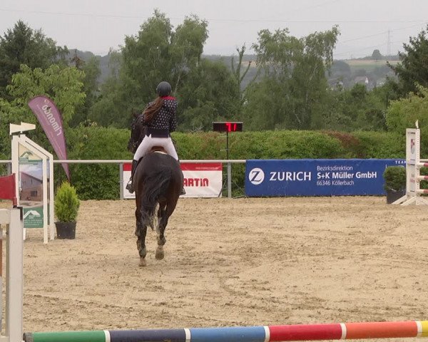 Reitturnier Püttlingen 2019