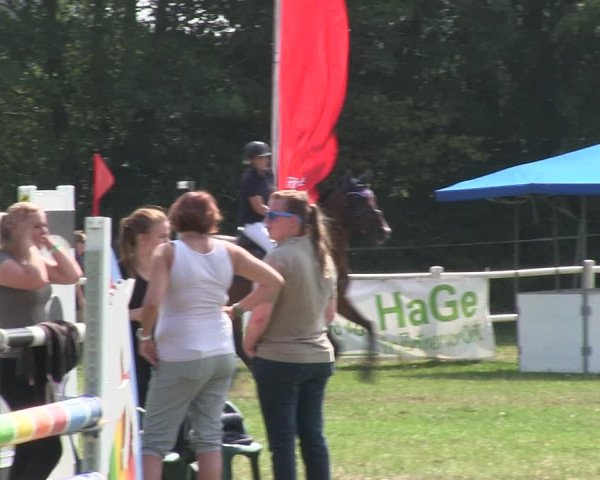 Reitturnier Felmerholz 2019