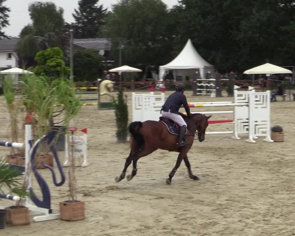Equus Colonius - Reitanlage Brüse Köln 2021