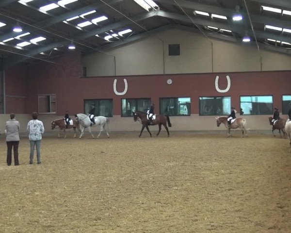 Reitturnier Neuss-Allerheiligen 2019