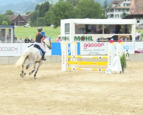 Reitturnier Schwyz 2019