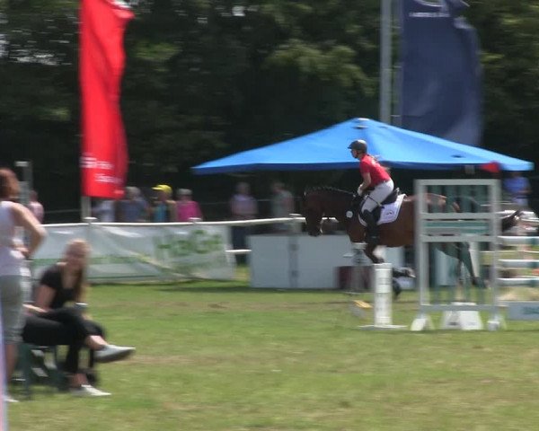 Reitturnier Felmerholz 2019