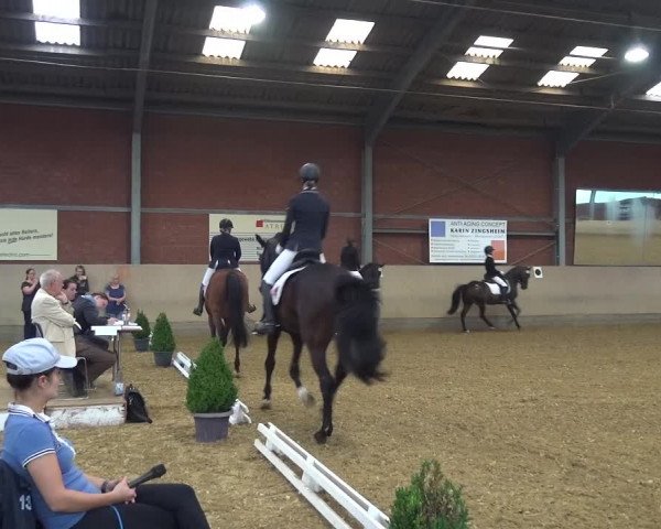 Reitturnier Neuss-Allerheiligen 2019