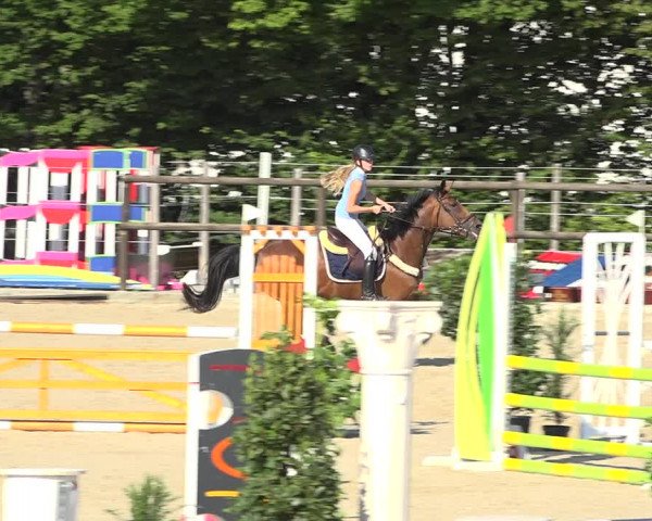 Reitturnier Bättwil 2019