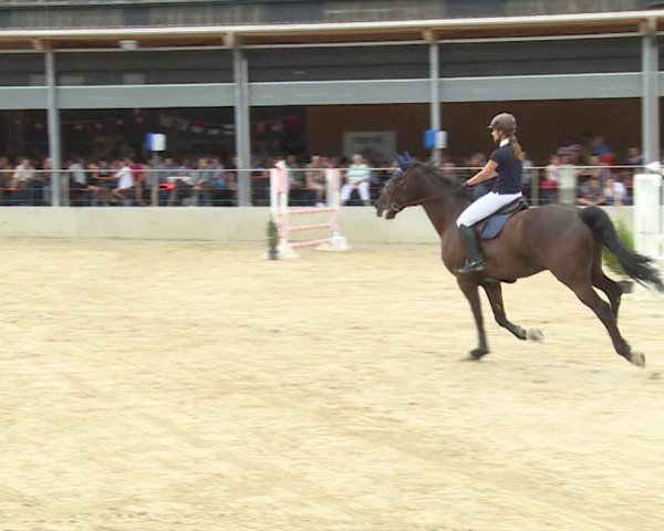 Reitturnier Schwyz 2019