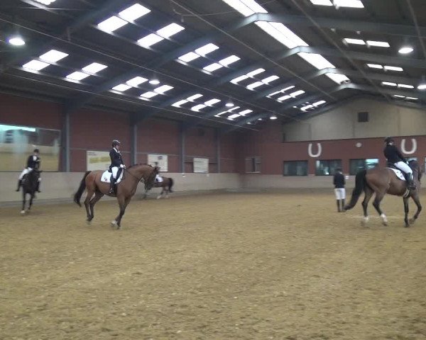 Reitturnier Neuss-Allerheiligen 2019