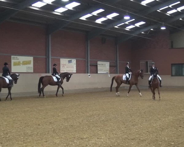 Reitturnier Neuss-Allerheiligen 2019
