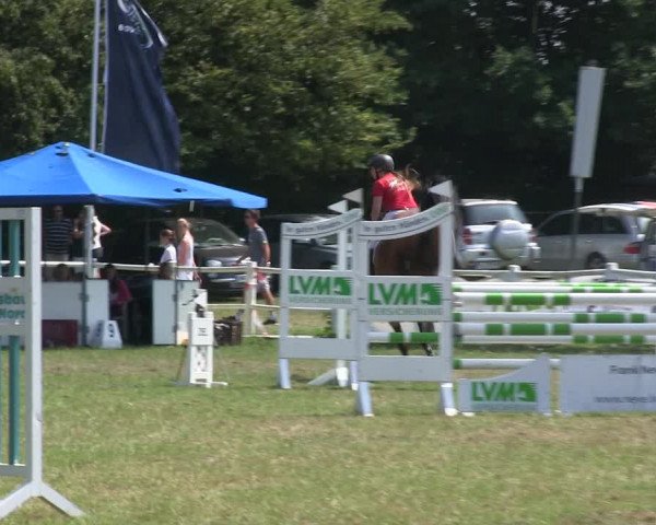 Reitturnier Felmerholz 2019