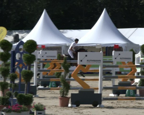 Reitturnier Münster-Handorf 2019
