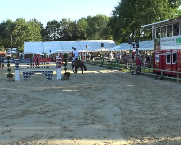 Reitturnier Münster-Handorf 2019