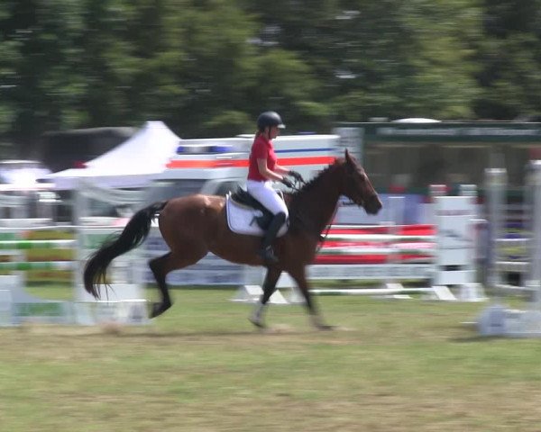 Reitturnier Felmerholz 2019