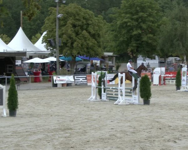 Reitturnier Olfen-Vinnum 2019
