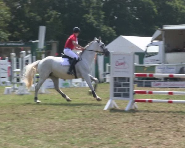 Reitturnier Felmerholz 2019