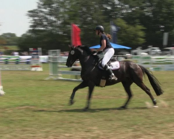 Reitturnier Felmerholz 2019