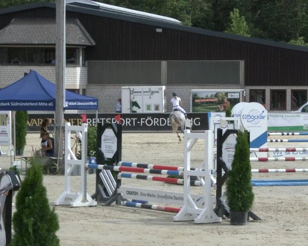Reitturnier Olfen-Vinnum 2019