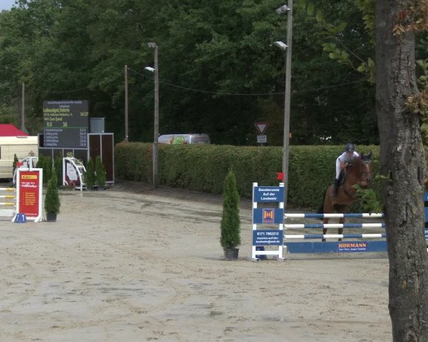 Reitturnier Olfen-Vinnum 2019
