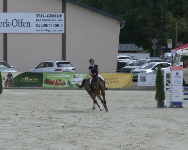 Reitturnier Olfen-Vinnum 2019