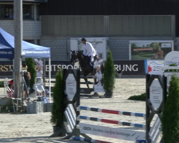 Reitturnier Olfen-Vinnum 2019
