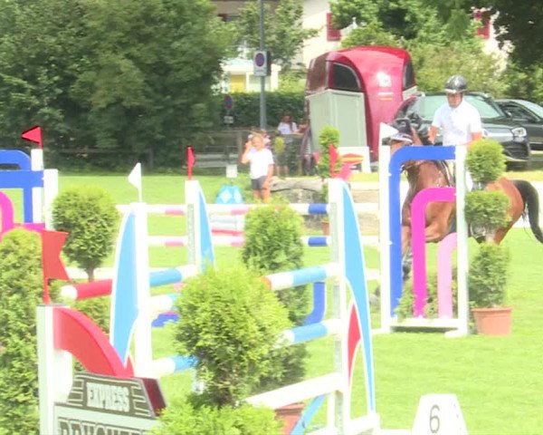 Reitturnier Langenthal 2019