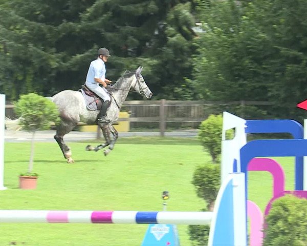 Reitturnier Langenthal 2019