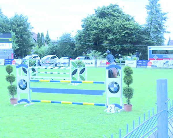 Reitturnier Langenthal 2019