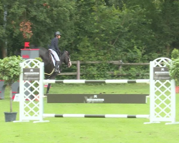 Reitturnier Langenthal 2019