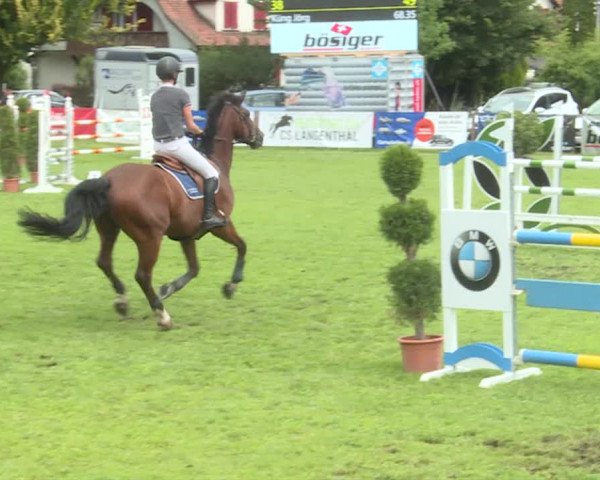 Reitturnier Langenthal 2019