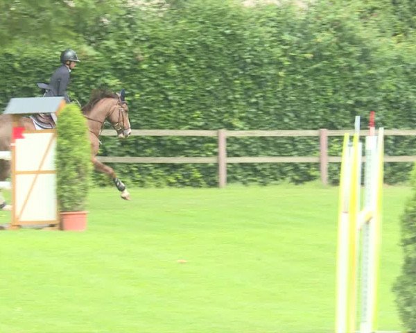 Reitturnier Langenthal 2019
