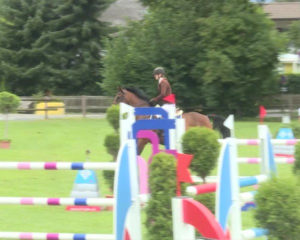 Reitturnier Langenthal 2019