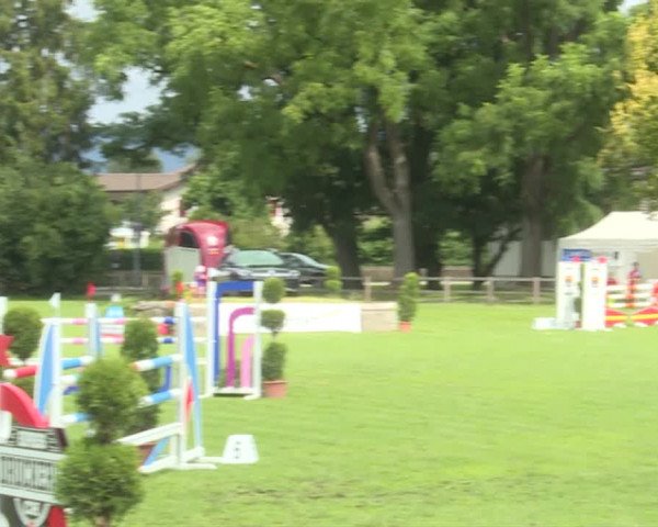 Reitturnier Langenthal 2019