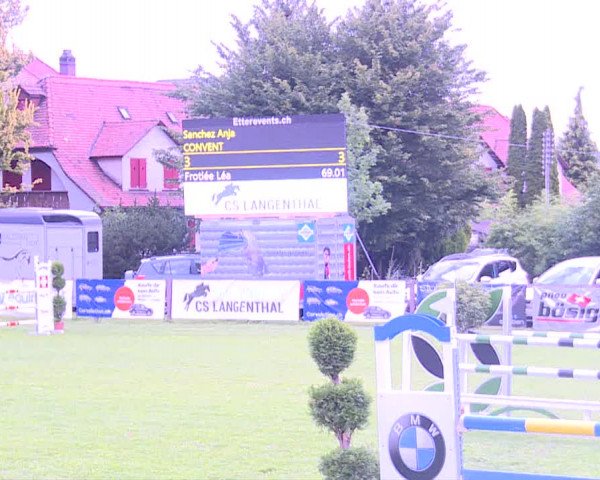 Reitturnier Langenthal 2019