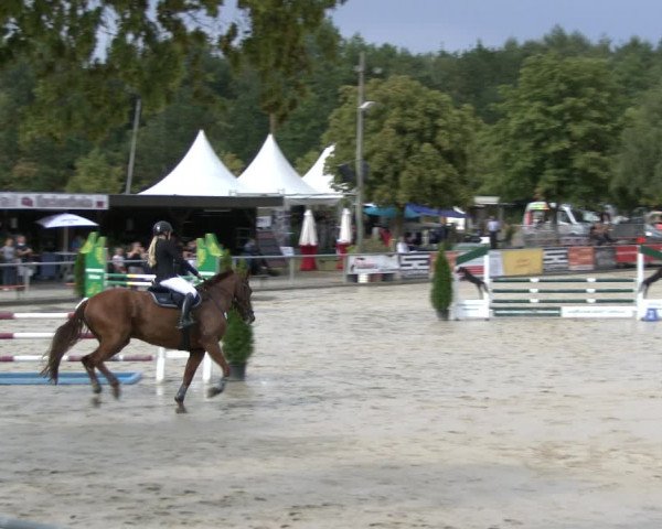 Reitturnier Olfen-Vinnum 2019