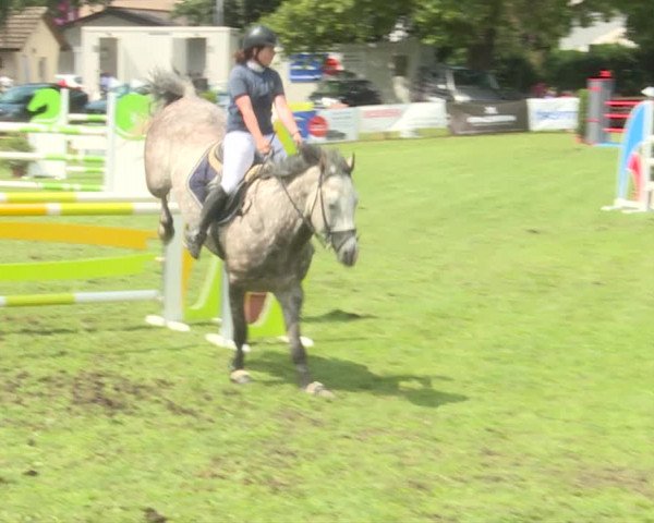 Reitturnier Langenthal 2019