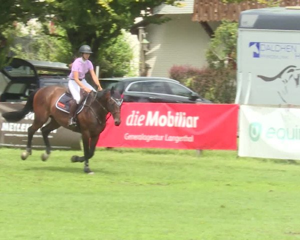Reitturnier Langenthal 2019