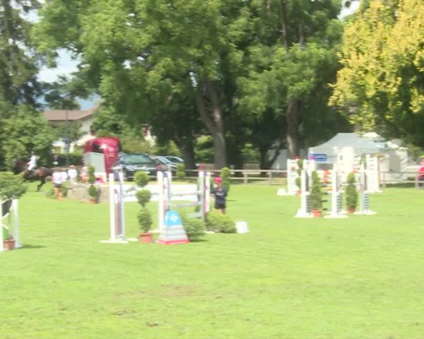 Reitturnier Langenthal 2019