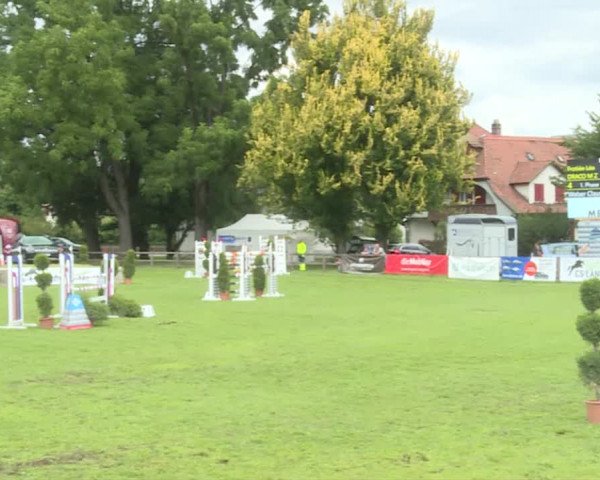 Reitturnier Langenthal 2019